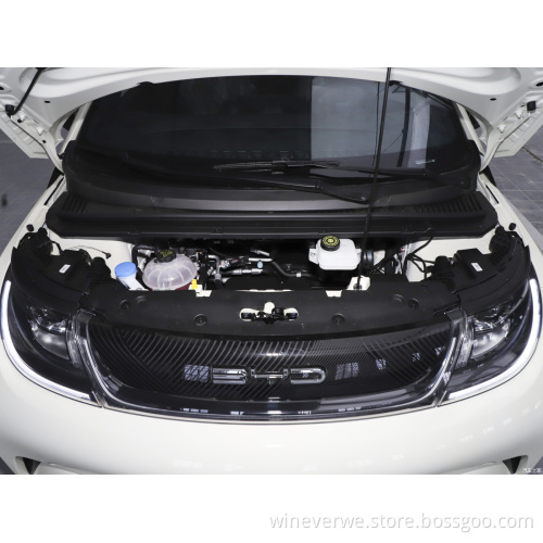 BYD car price 420KM Range Dolphin 2023 Free Version new energy vehicles mini electric 4 wheeler